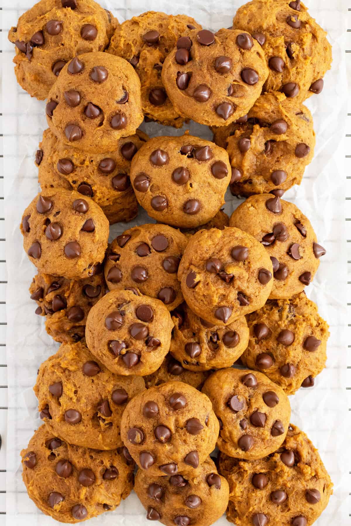 Pumpkin chocolate chip cookies on a cooling rack