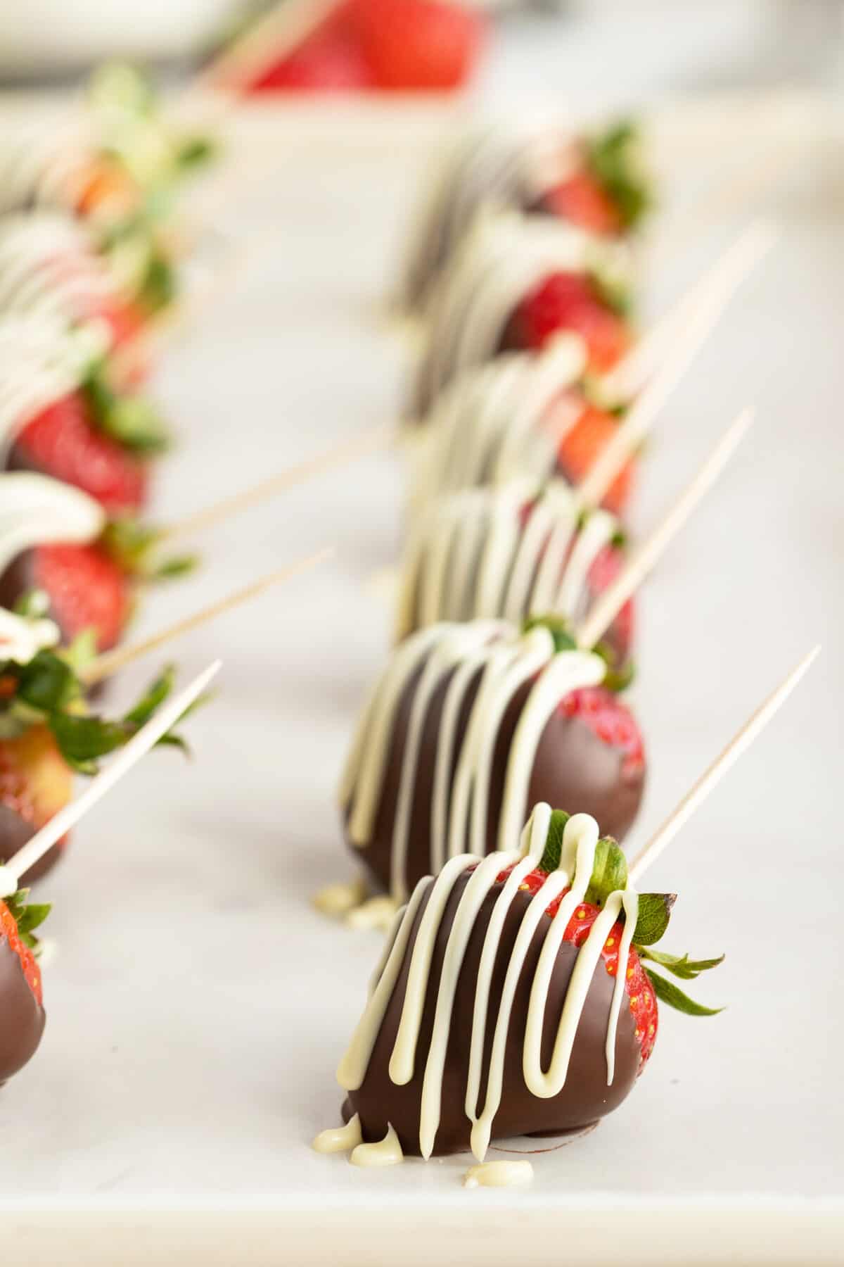 chocolate covered strawberries  drizzled in white chocolate lined up on a baking tray