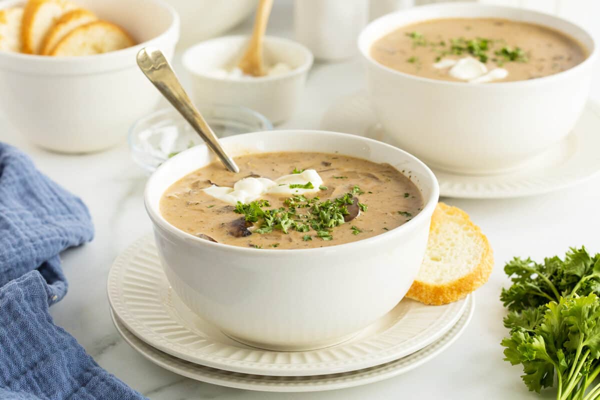 hungarian mushroom soupin a white bowl on a plate with a slice of bread