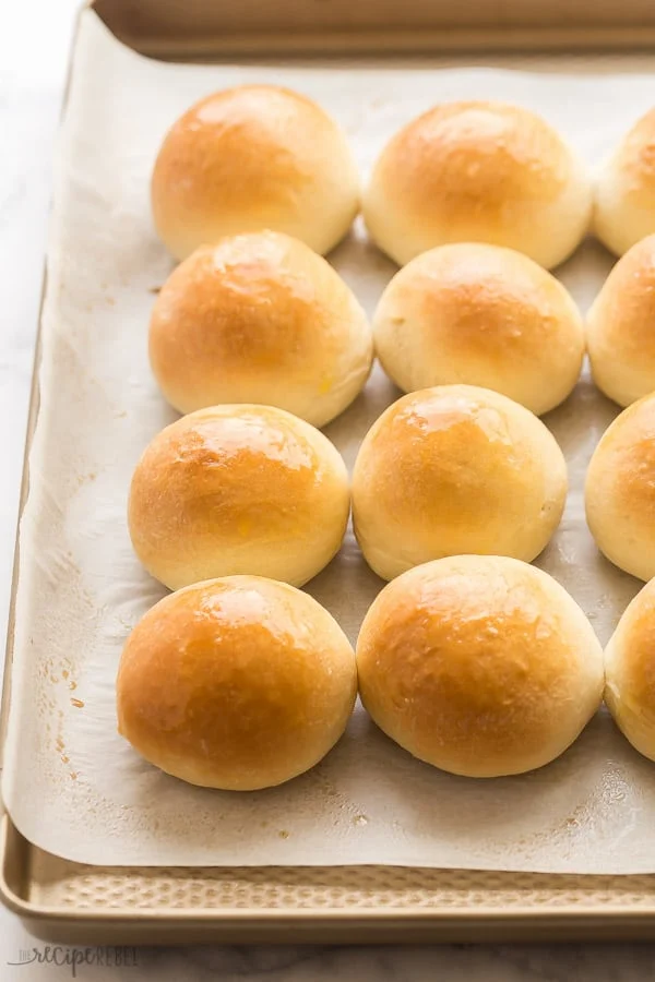 homemade dinner buns on a baking sheet