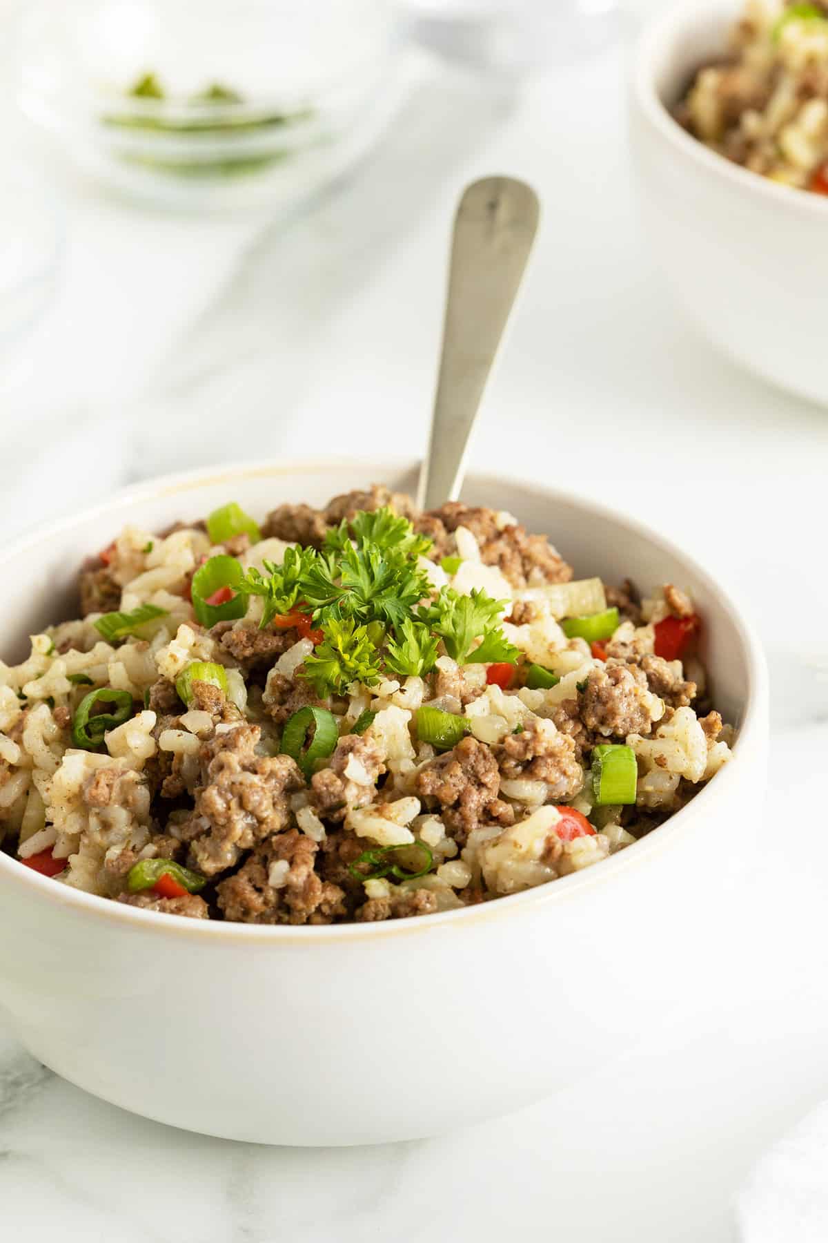 Dumpy Rice Dirty Rice - The Kitchen Magpie