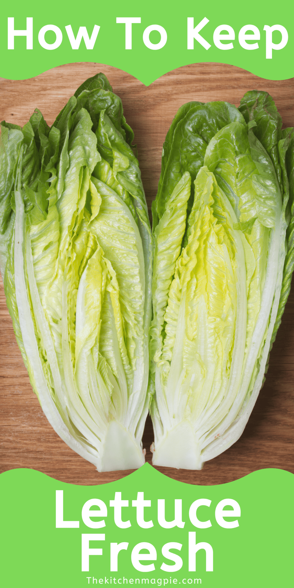Easy ways to keep your lettuce fresh for as long as you can to make great salads and sandwiches for lunches.