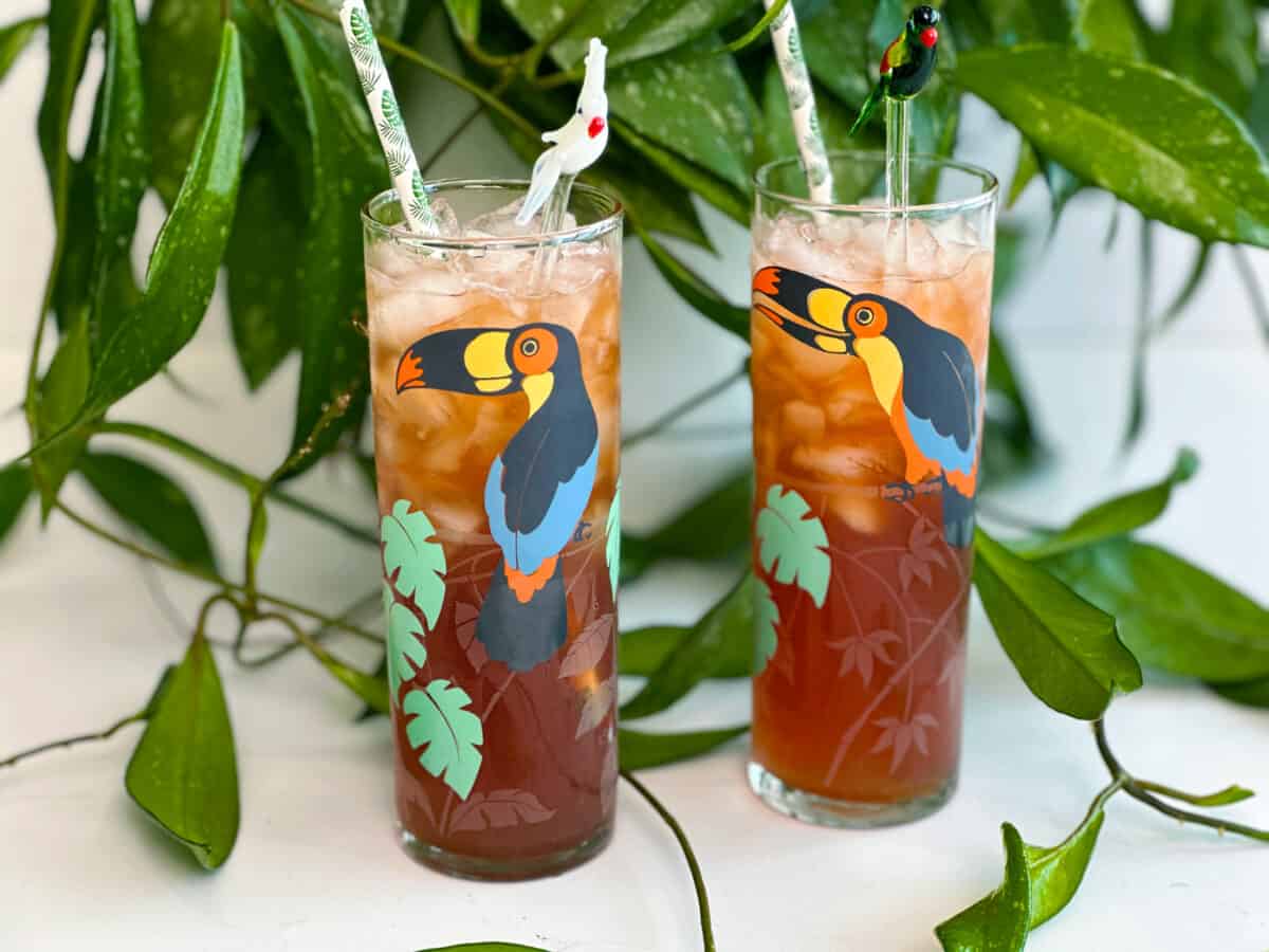 jungle bird cocktail in glasses in front of a plant