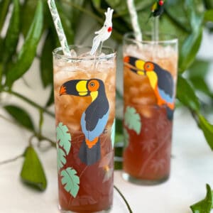 jungle bird cocktail in glasses in front of a plant
