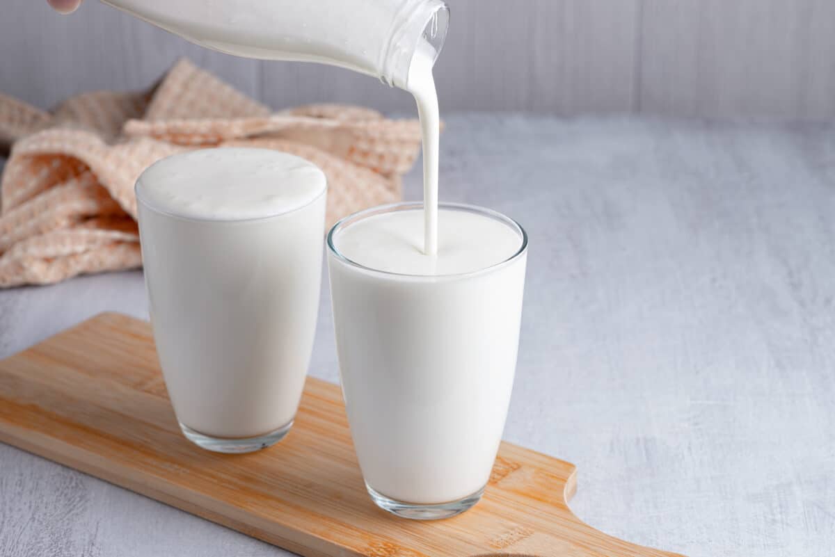 Buttermilk being poured into cups that are full