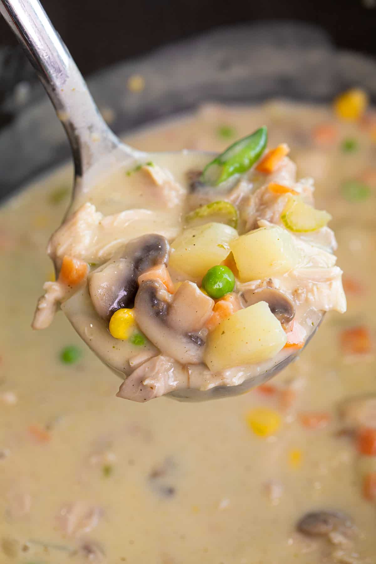 Chicken Pot Pie Soup - The Kitchen Magpie
