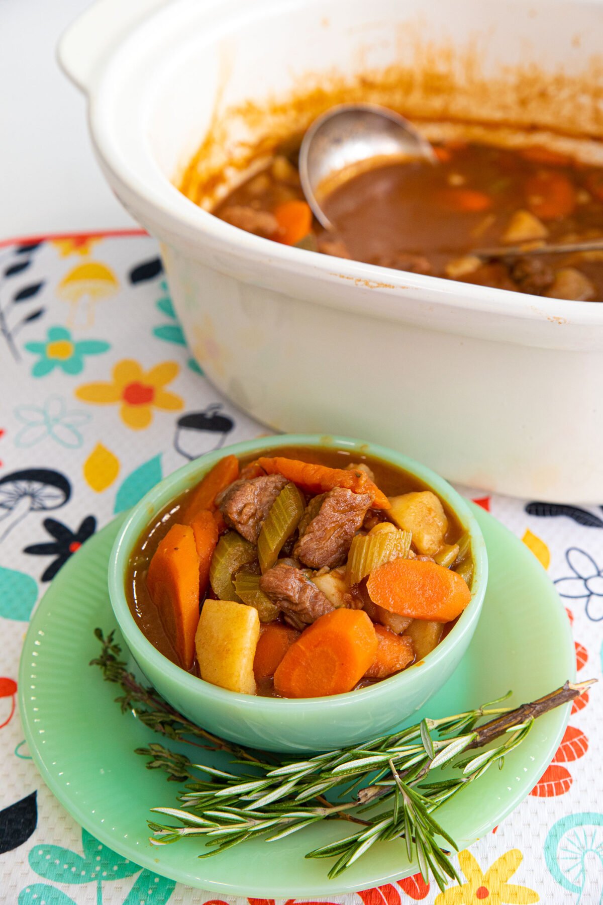 a bowl of Irish lamb stew 