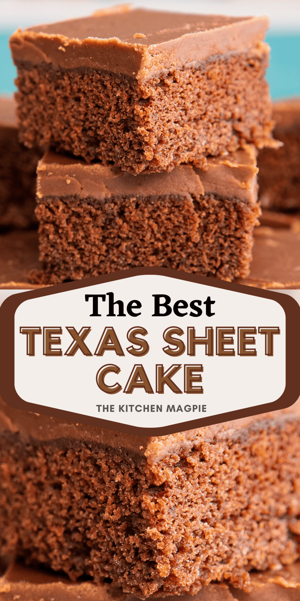 Classic Texas sheet cake! This rich, moist buttermilk chocolate cake has a hint of cinnamon and is topped with a fudgy chocolate glaze.