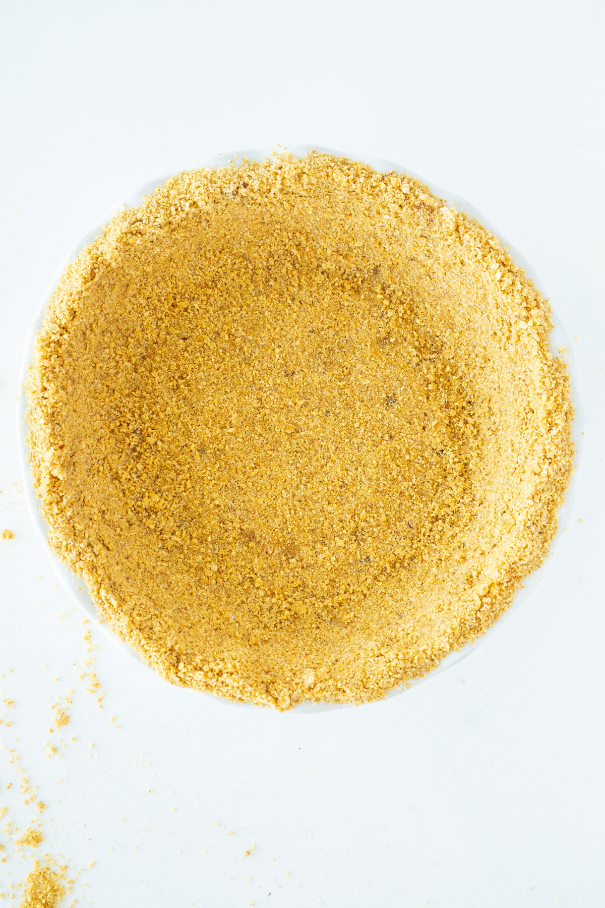 A circular layer of golden, finely ground crumbs is pressed along the bottom and sides of a white dish, forming a crust with some loose crumbs scattered around.