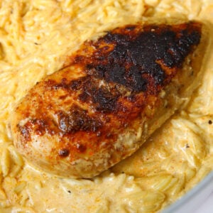 A close-up of blackened, seasoned chicken breasts on a creamy orzo pasta in a white pan.