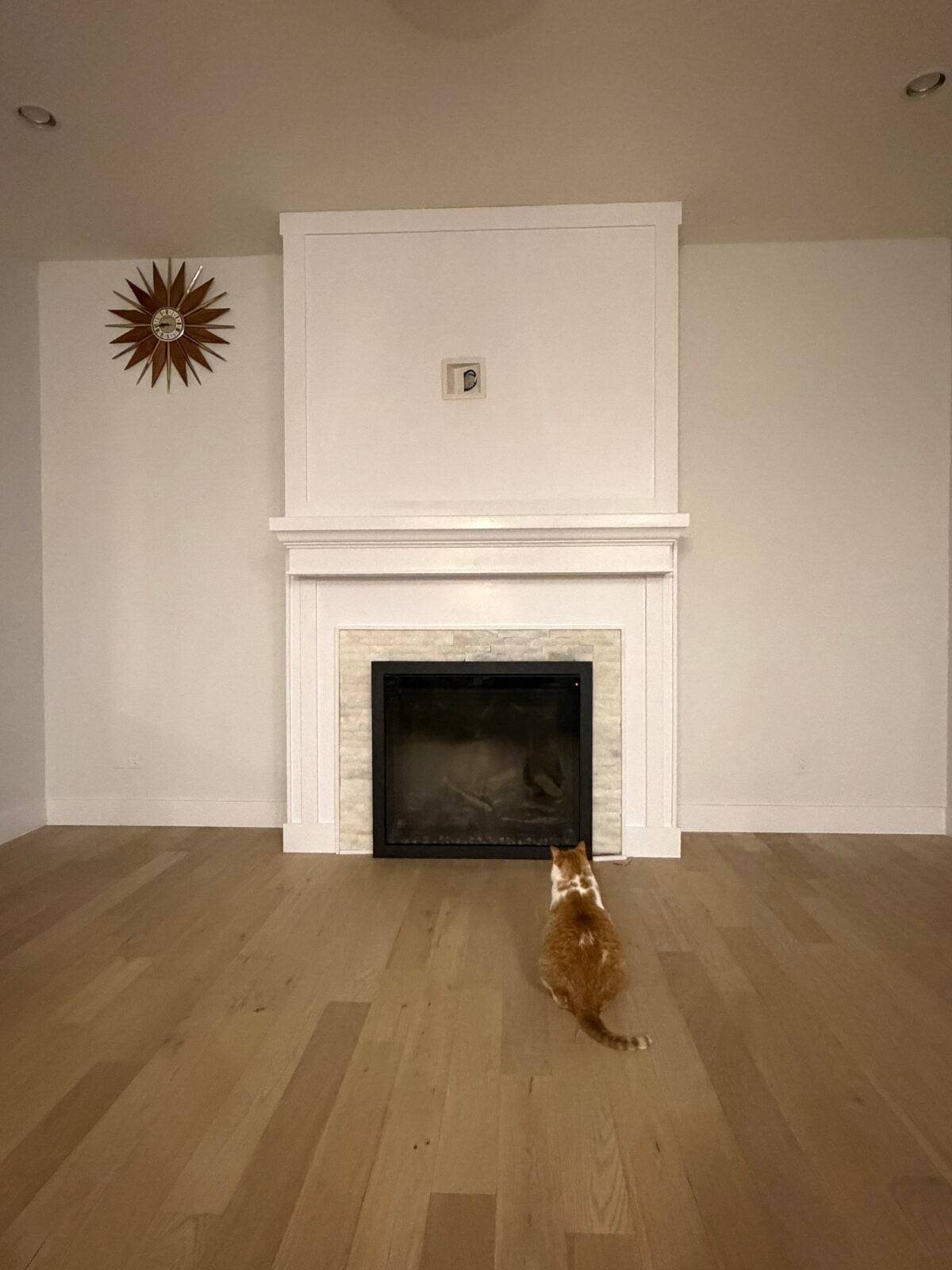A ginger and white cat sits on a wooden floor facing a white fireplace with a small object above the mantle and a starburst clock on the left wall.